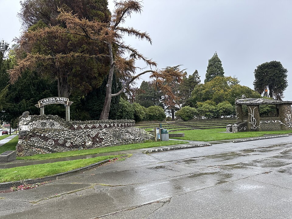 Photograph of Causland Park