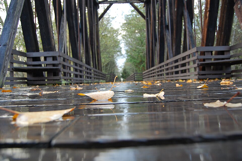 Photograph of Dungeness River Bridge