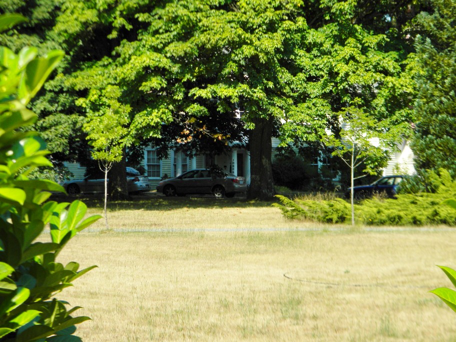 Photograph of Salsich Lumber Company Superintendent's House