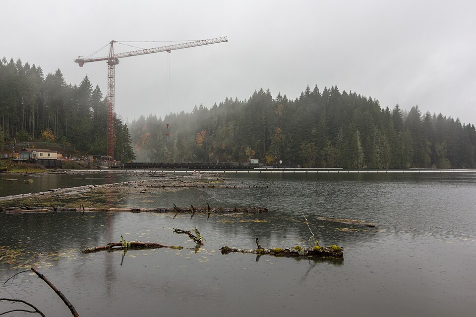 Photograph of Lower Cushman Dam