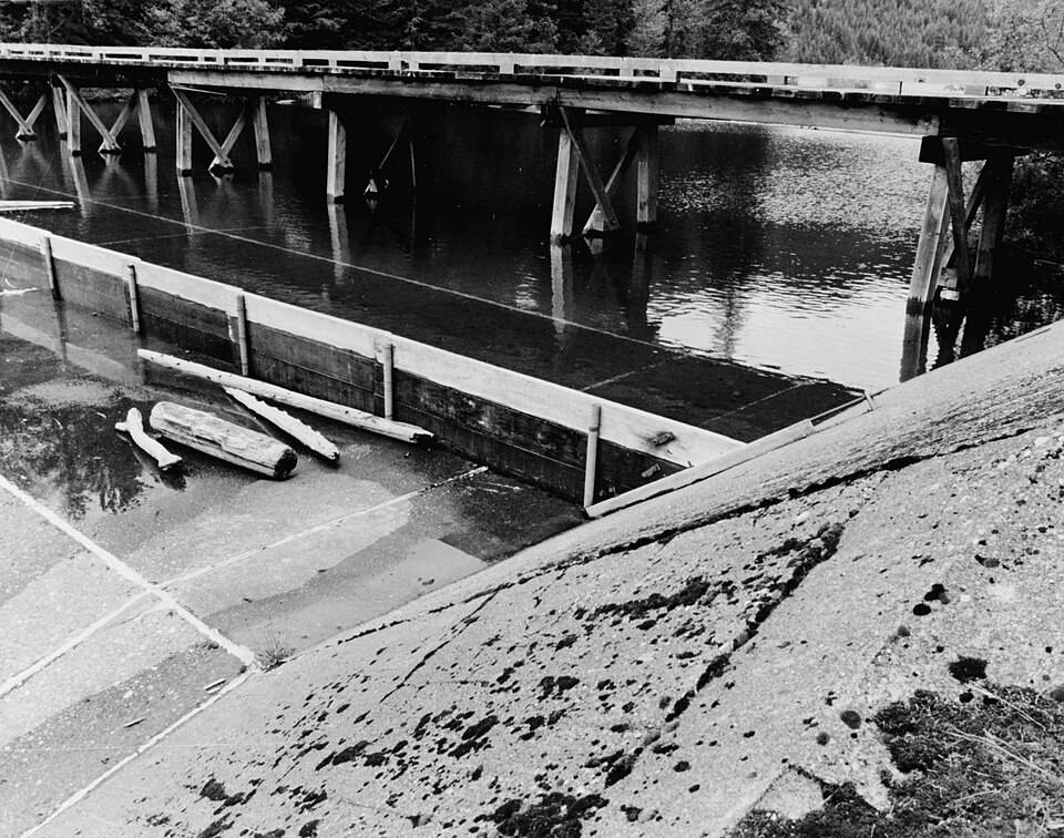 Photograph of Cushman Dam