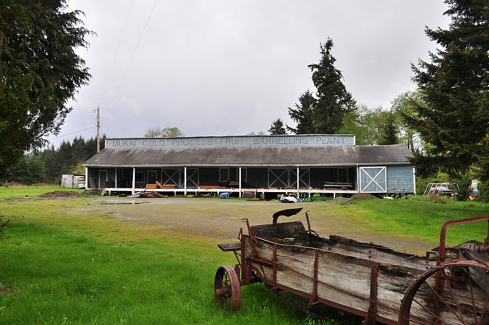 Photograph of Mukai Cold Process Fruit Barrelling Plant