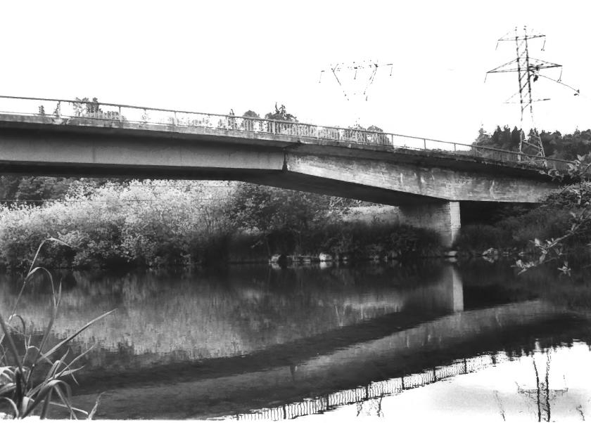 Photograph of Patton Bridge