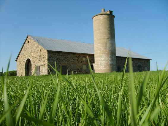 Photograph of Daniel E. Krause Stone Barn