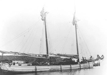 Photograph of Kate Kelly