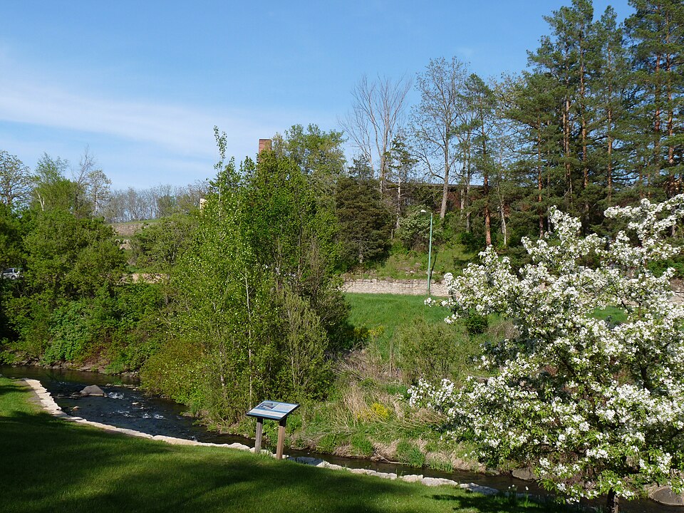 Photograph of Lodi School Hillside Improvement Site