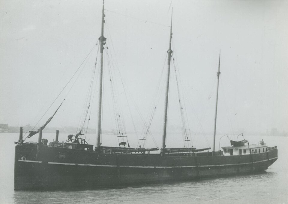 Photograph of Antelope