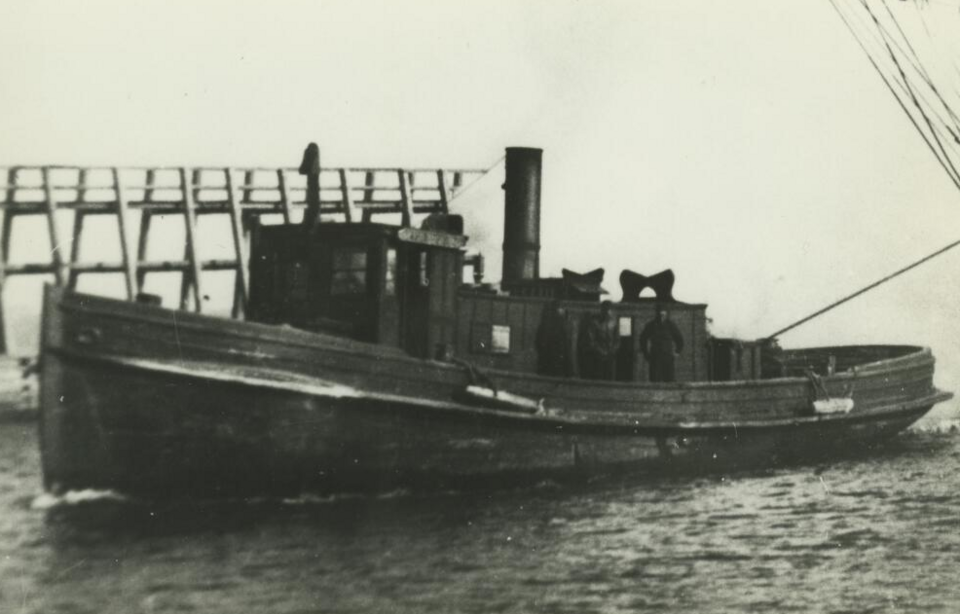 Photograph of Arctic