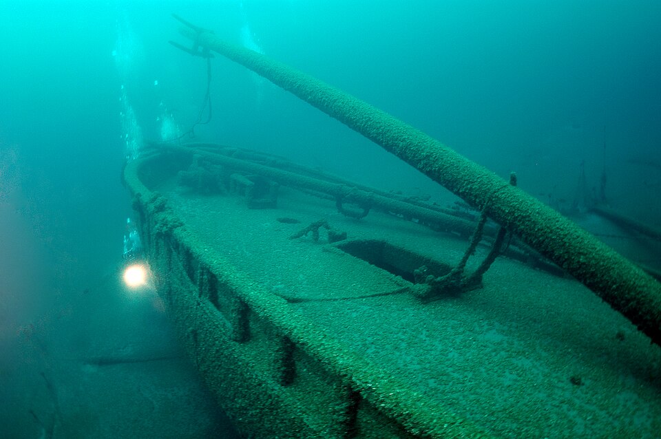 Photograph of Gallinipper