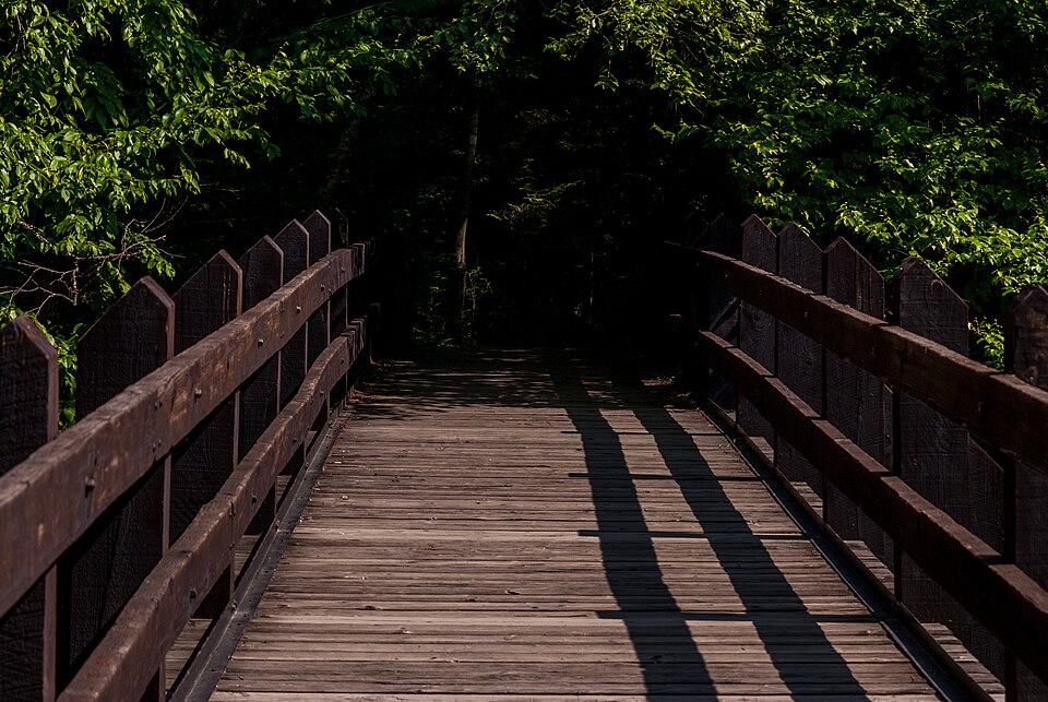Photograph of Dells of the Eau Claire County Park