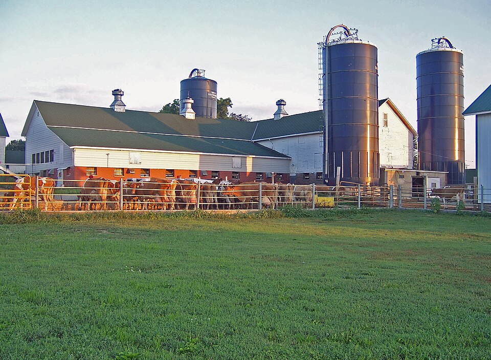 Photograph of Hoard's Dairyman Farm