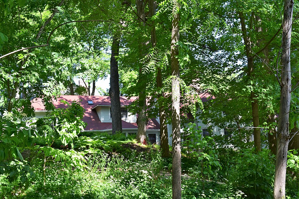 Photograph of Bonnie Brae