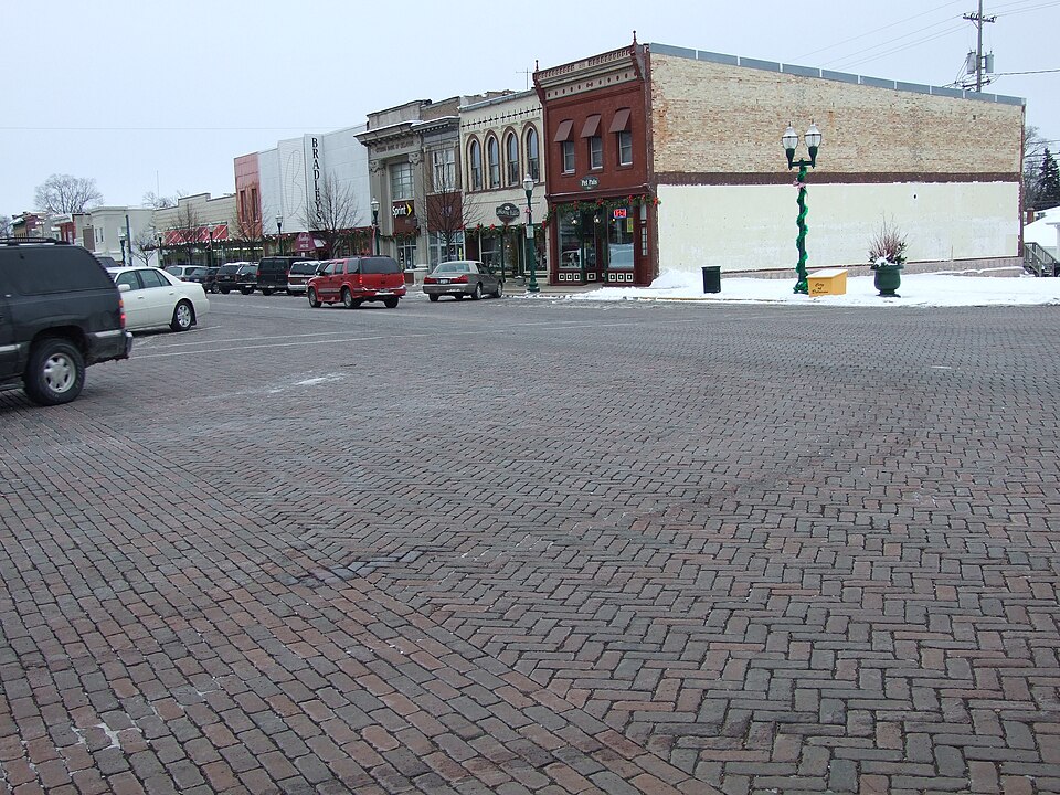 Photograph of Delavan's Vitrified Brick Street