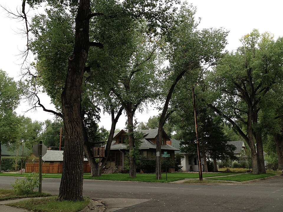 Photograph of University Neighborhood Historic District