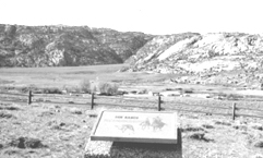 Photograph of Tom Sun Ranch