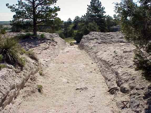 Photograph of Oregon Trail Ruts