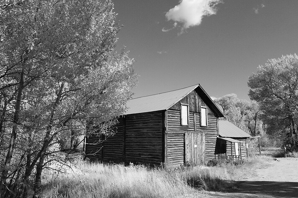 Photograph of Arlington