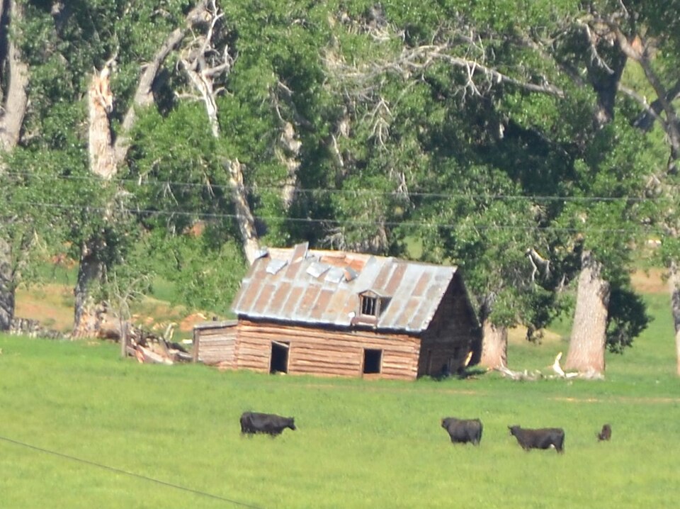 Photograph of Ainsworth House