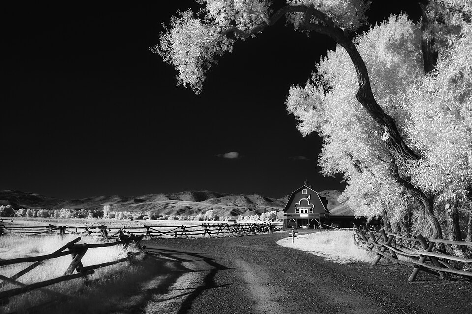 Photograph of Diamond A Ranch